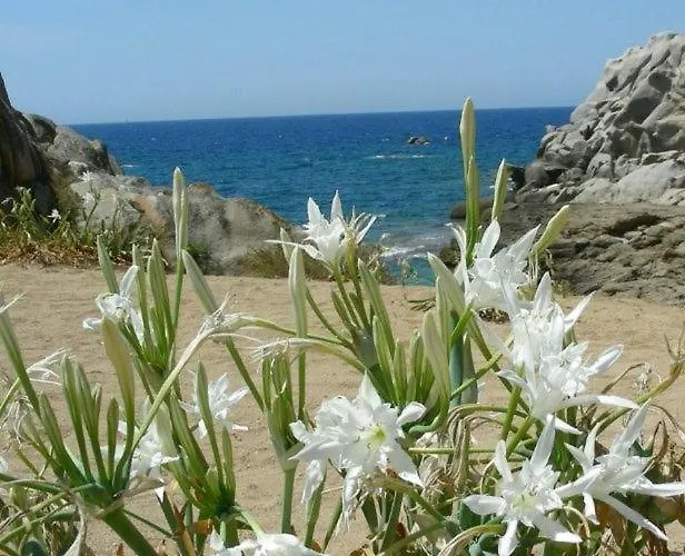 Giglio Di Mare Marzamemi